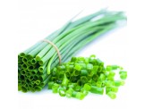 CHIVES (CEAPA PERENA)